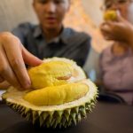 Erek erek MAKAN DURIAN Togel 4D 3D 2D menurut Buku Mimpi